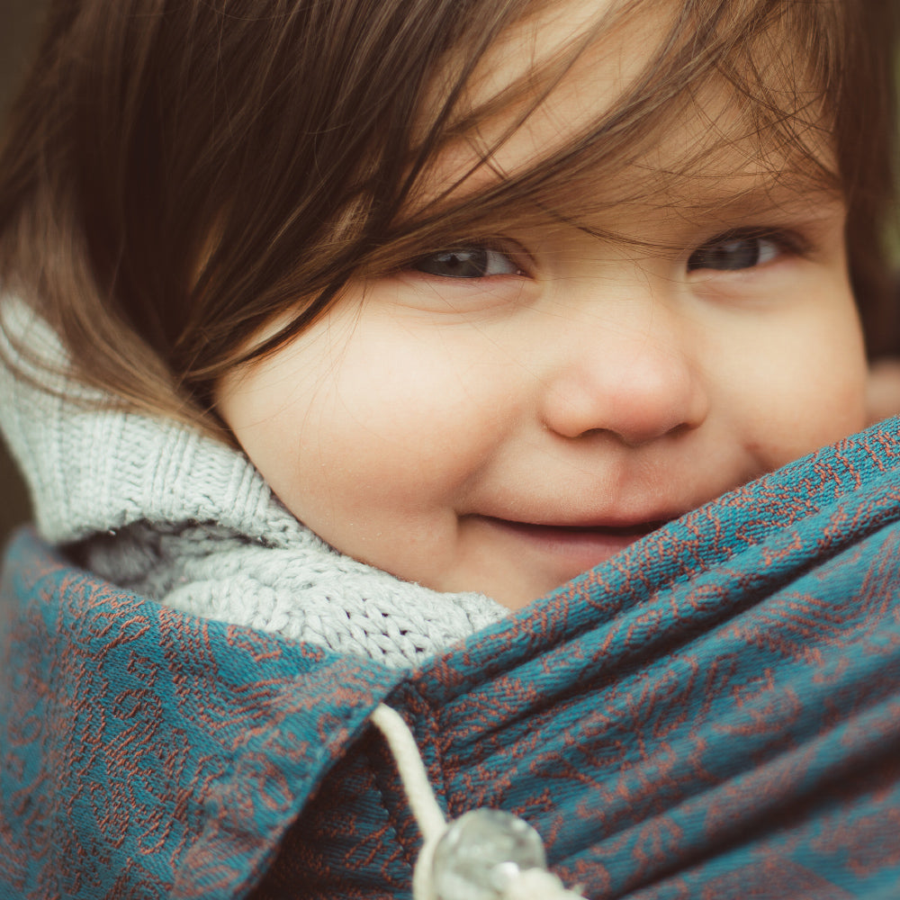 DidyKlick 4u - Ludwig