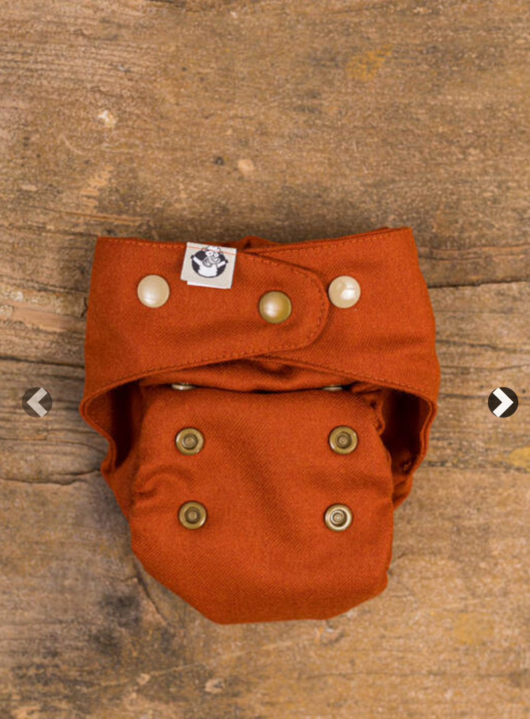 LennyLamb Cloth Diaper Starter Set - One Size - Foxy Red & Pepitka