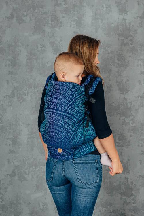 LennyPreschool Carrier - Peacock's Tail Provance